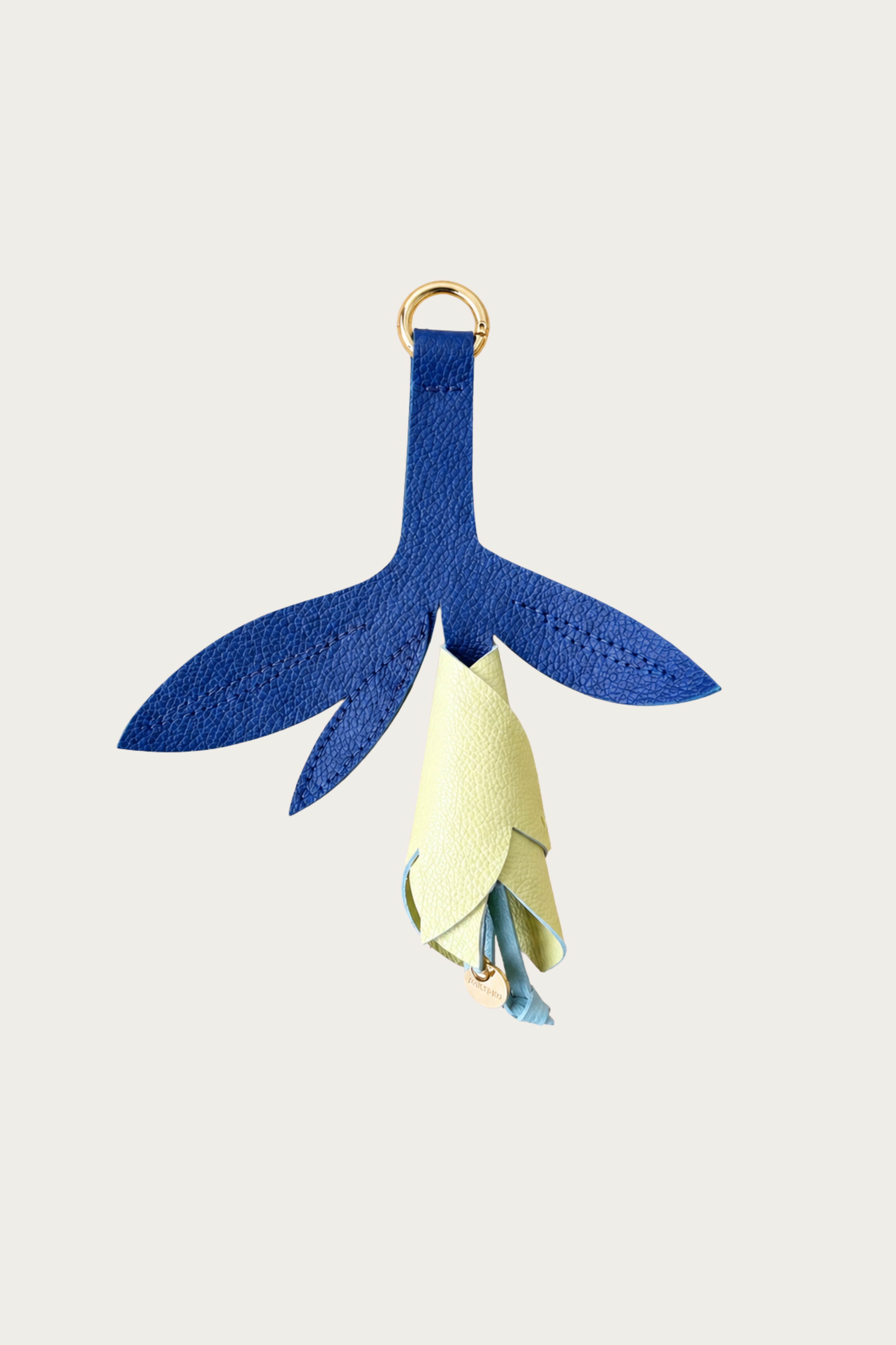 CHARM IRIS