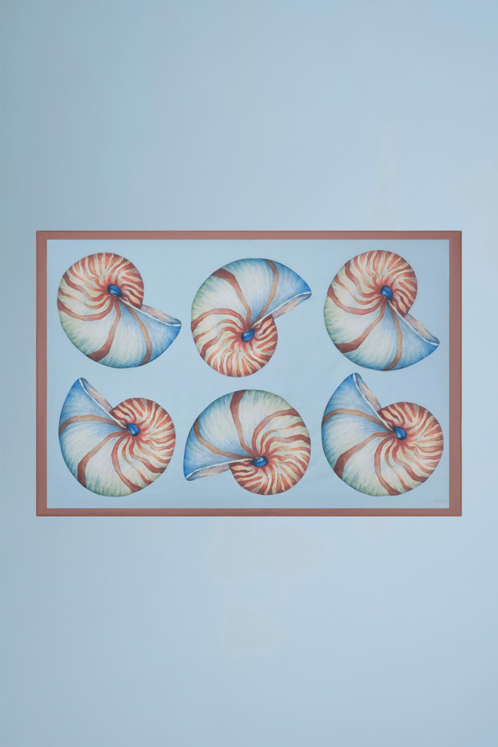 PAREO CARACOLI AQUA