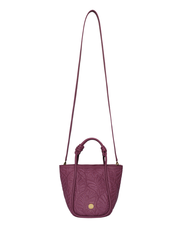 GRANADINA - Orquídea